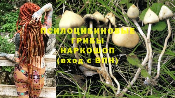 прущая мука Арсеньев