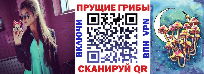 KRAKEN   Таруса  Галлюциногенные грибы прущие грибы 